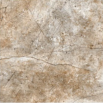 DG 655